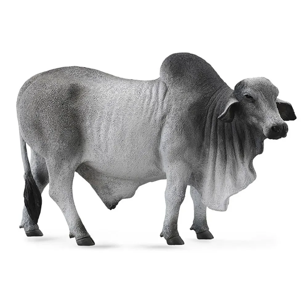 Toro Brahmna-figuur by Collecta – product photo