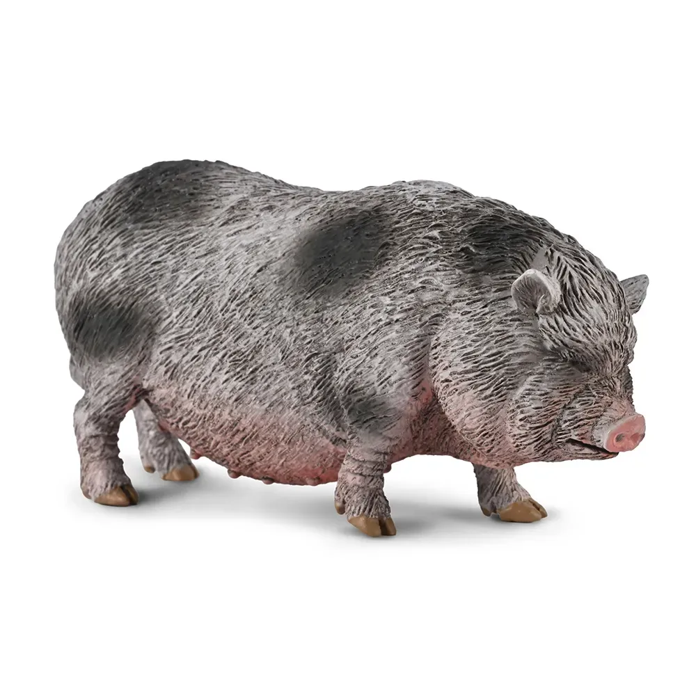 Vietnamese Pig Figur von Collecta – Produktfoto