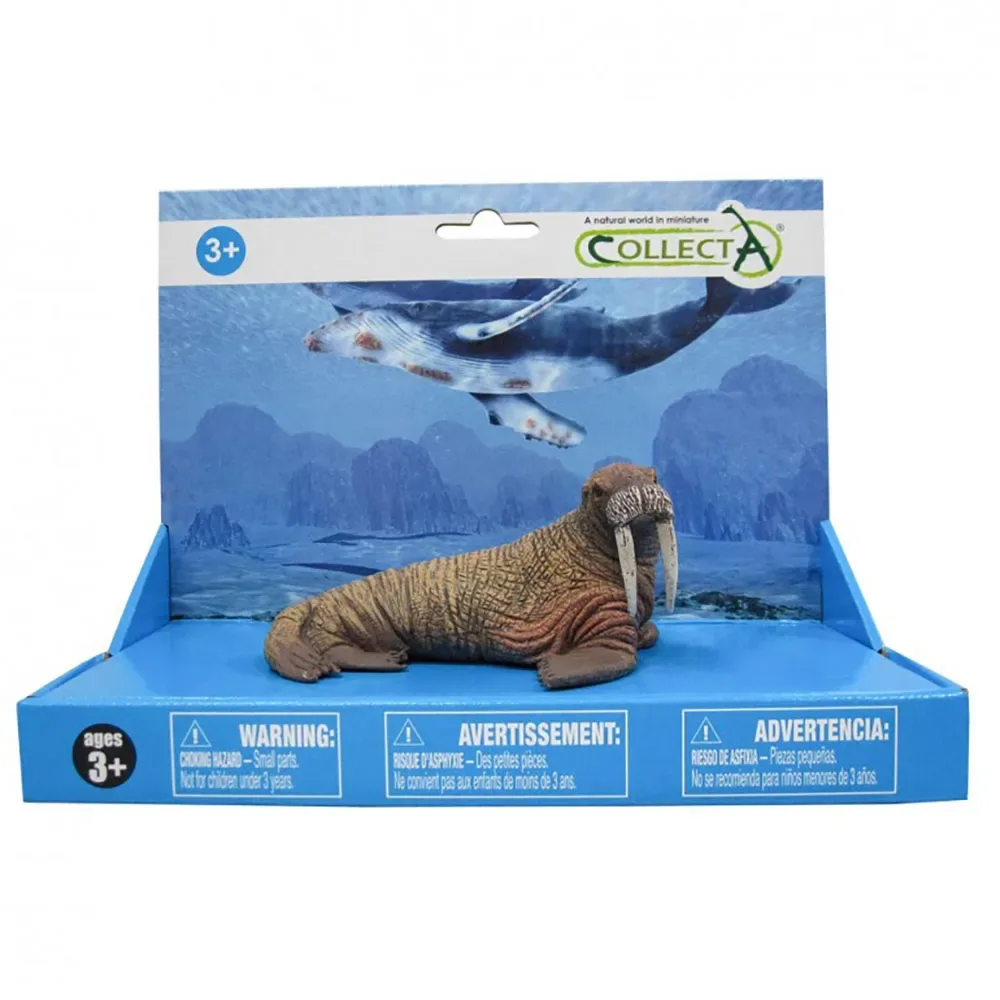 Walross L Auf Plattformfigur von Collecta – Produktfoto