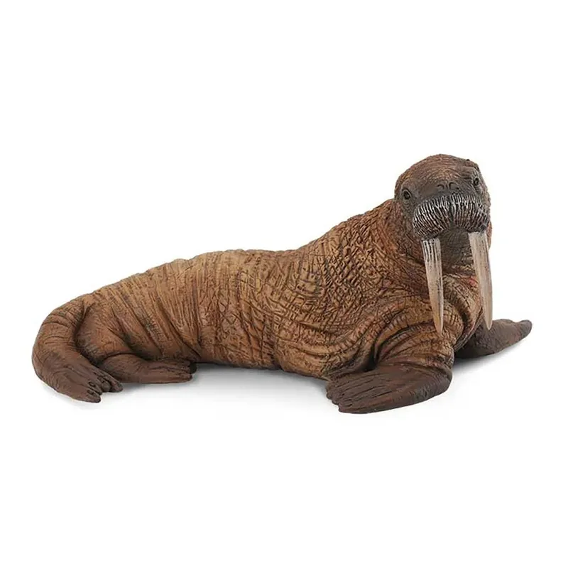 Walrusfiguur van Collecta – productfoto