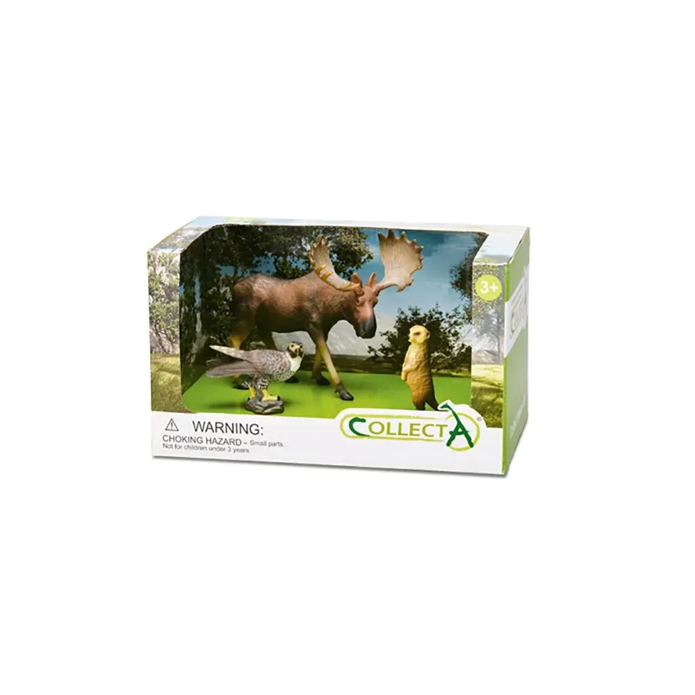 Wild Life Forest 3 Stk. Figur I åben æske von Collecta – Produktfoto