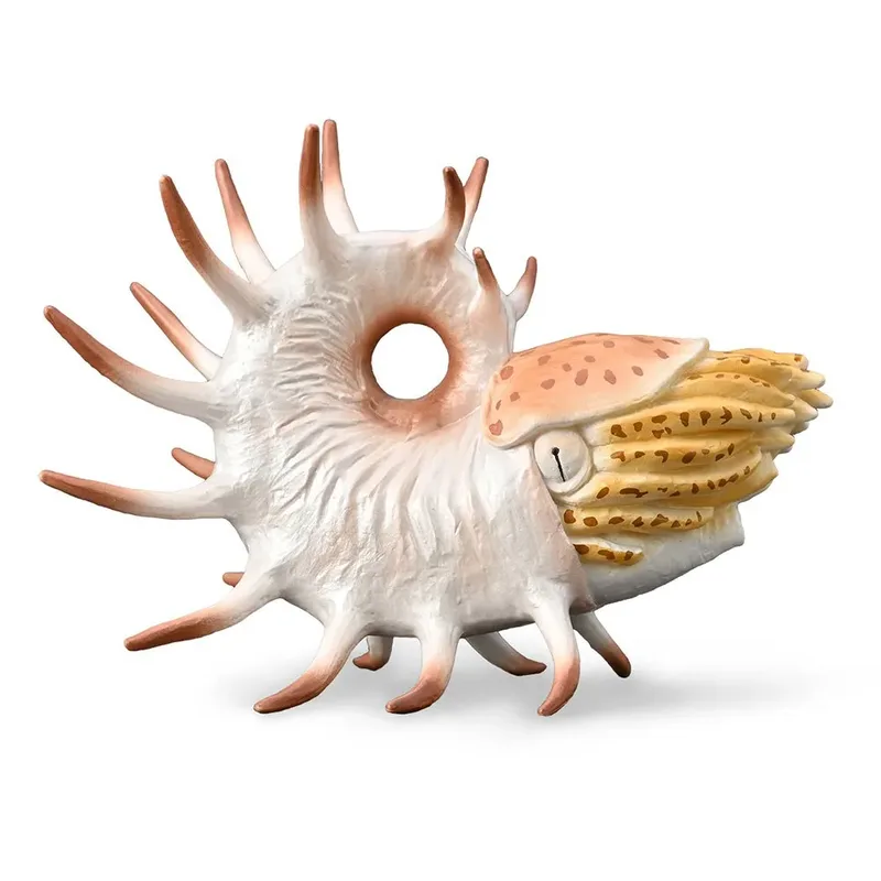 Xl Coopeoceras de Collecta – photo du produit
