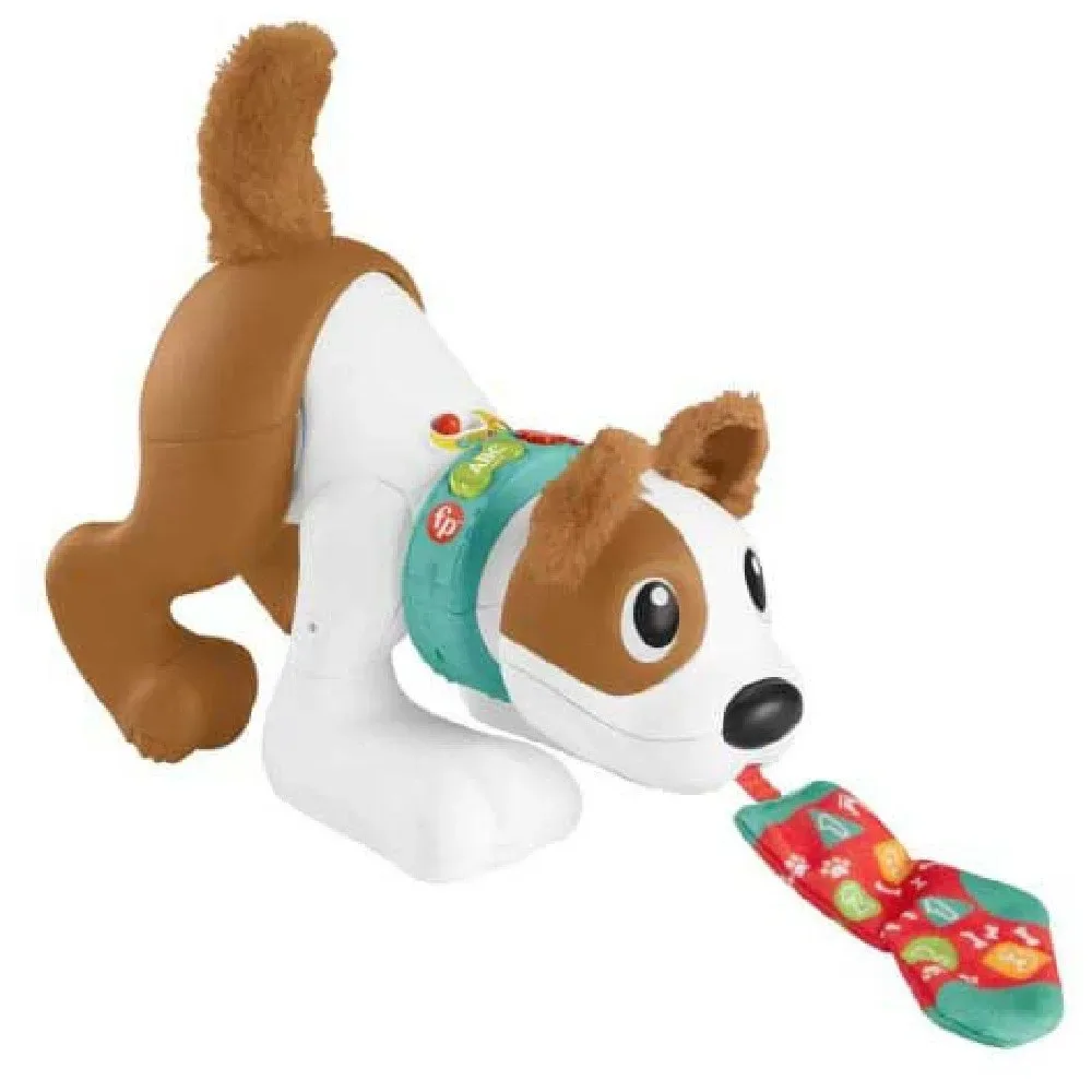 Fisher Price 123 Rampe Avec Moi Chiot de Fisher-Price – photo du produit