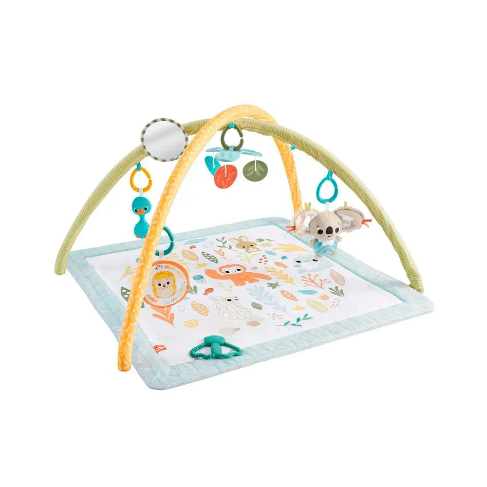Sportschool Ontwaak Je Zintuigen från Fisher-Price – produktbild