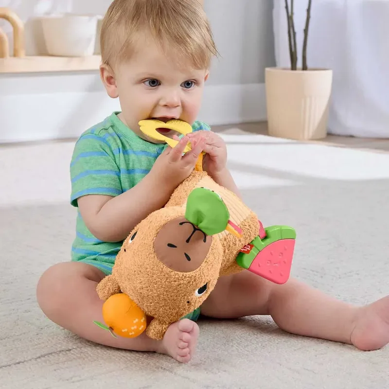 Stimuli Van Gevulde Capibara by Fisher-Price – product photo 2 of 6