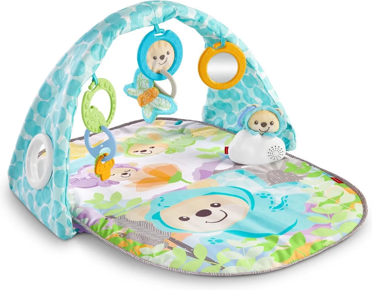 Vlinderdromen Gym de Fisher-Price en Multicolore – photo du produit