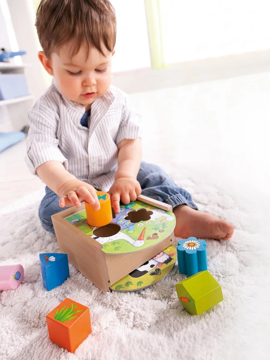 Sorteerbox Peuterspeelgoed Hout by HABA in Multicolour – product photo
