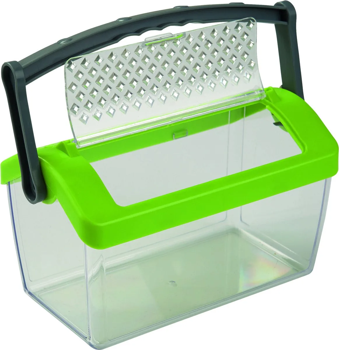Terra Kids - Insectendoos 19 Cm Transparant/groen by HABA in Green – product photo