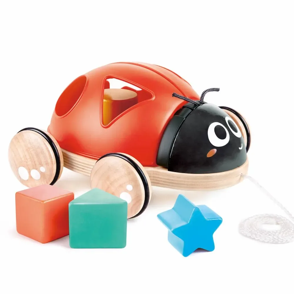 S Sortierer Marienkäfer von Hape – Produktfoto