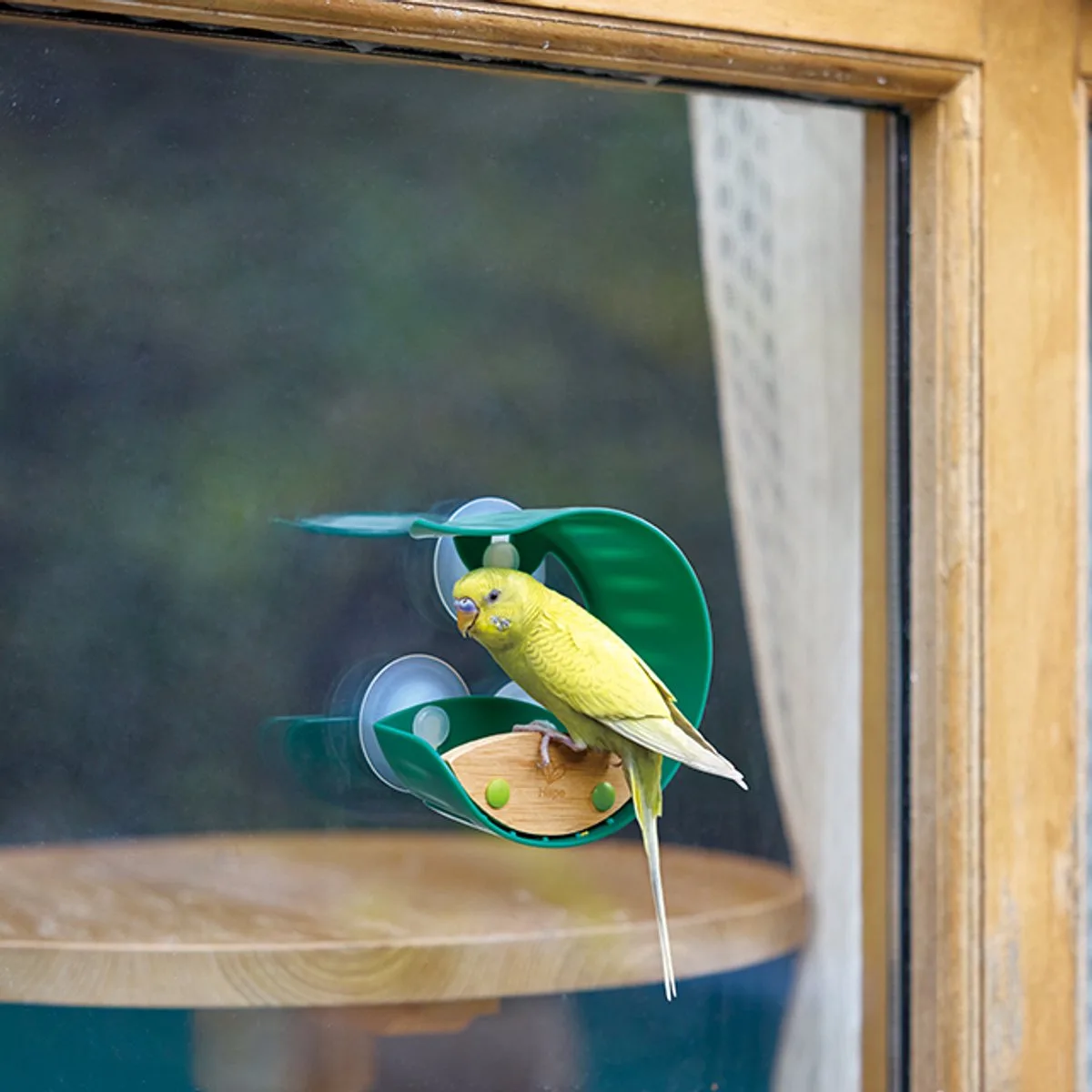 Vogel voederhuisje von Hape in Mehrfarbig – Produktfoto