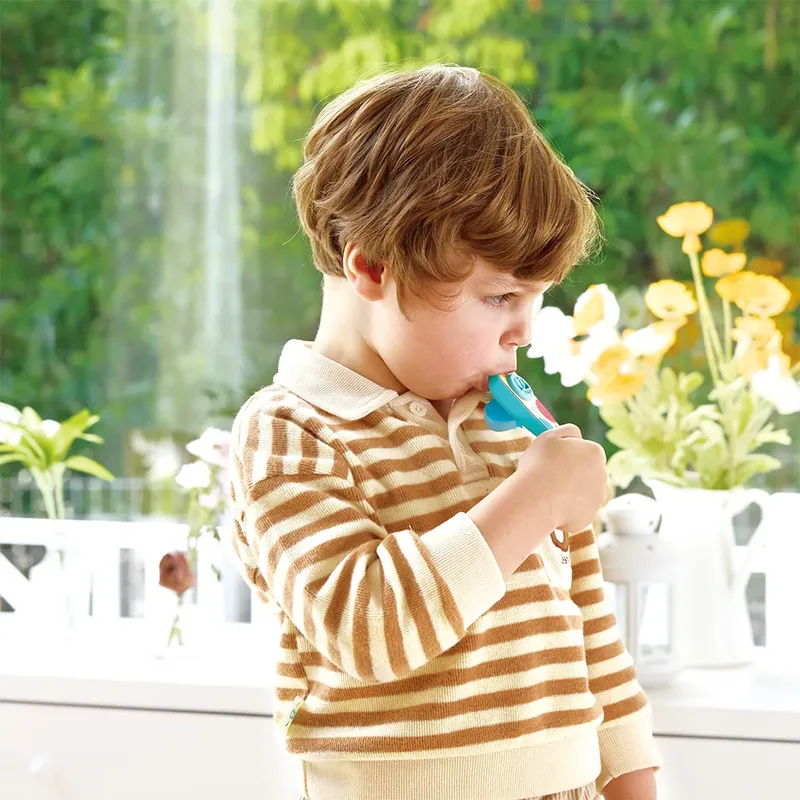 Zak-kazoo Ritme & Neurie från Hape – produktbild 4 av 6