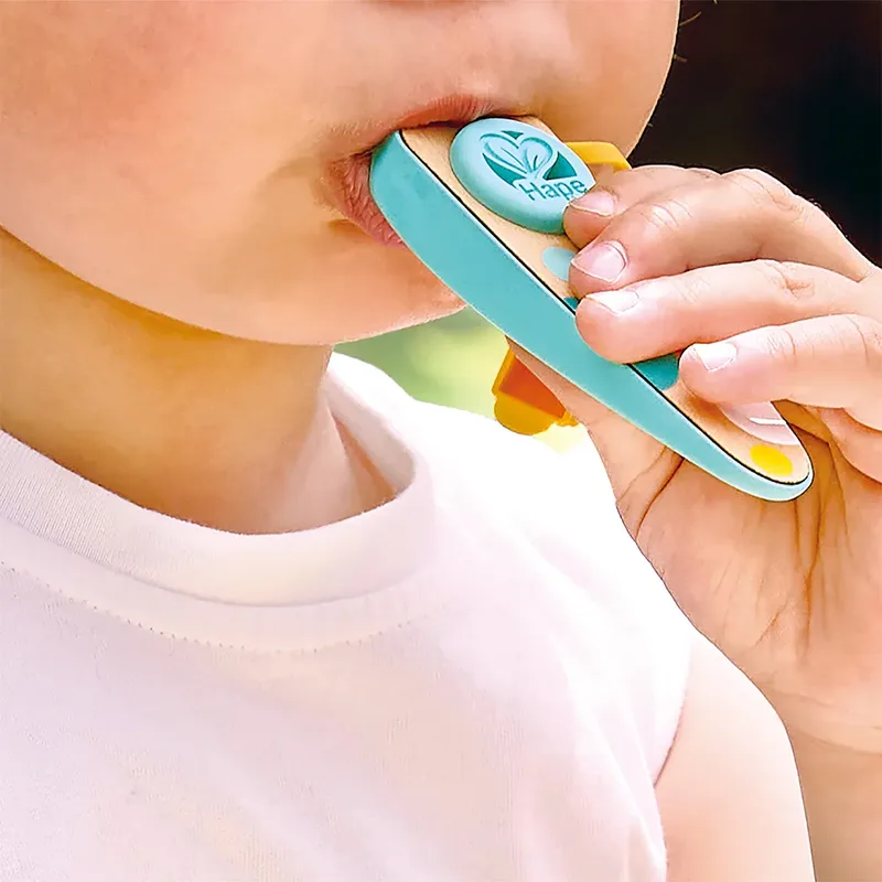 Zak-kazoo Ritme & Neurie från Hape – produktbild 3 av 6