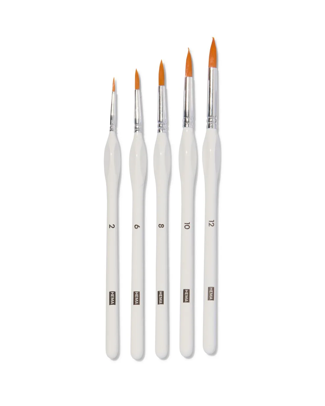 Schilderpenselen met ronde punt - 5 stuks van HEMA – productfoto