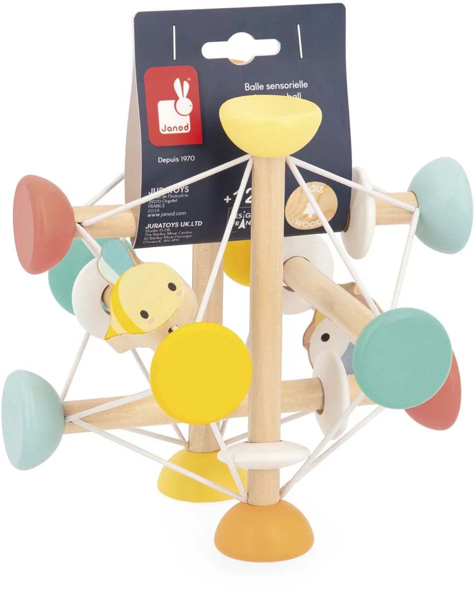 Sensory Ball Pädagogisches Spielzeug von Janod in Mehrfarbig – Produktfoto