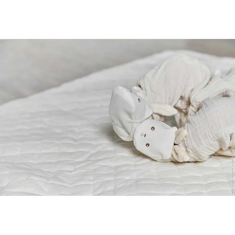 Mijn Eerste Geboortegeschenkdoos Met Teddybeer by Kaloo – product photo 4 of 5