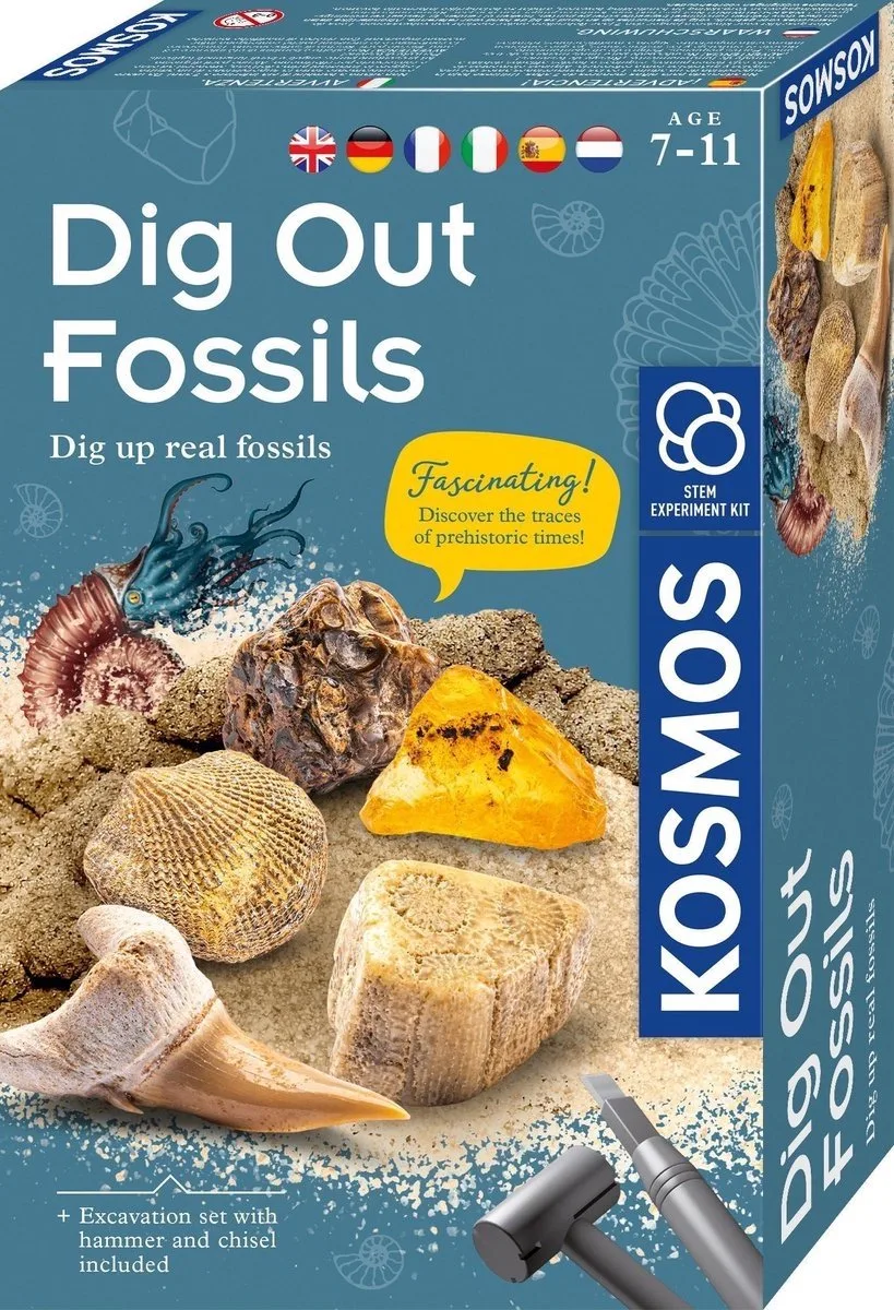 Dig Out Fossils - Opgravingsset - Graaf Echte Fossielen Op - Inclusief Barnsteen, Steenkoraal en Fossiele Schelpen - Archeologie voor Kinderen - STEM Speelgoed - Vanaf 7 Jaar van KOSMOS in Dig Out – Fossils – productfoto