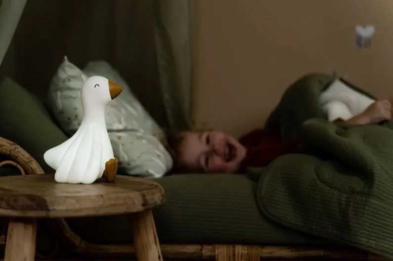 Nachtlampje Little Dutch Little Goose de Little Dutch – photo du produit 3 sur 4