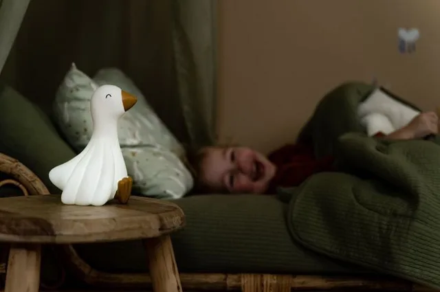 Nachtlampje Little Dutch Little Goose de Little Dutch – photo du produit 3 sur 4