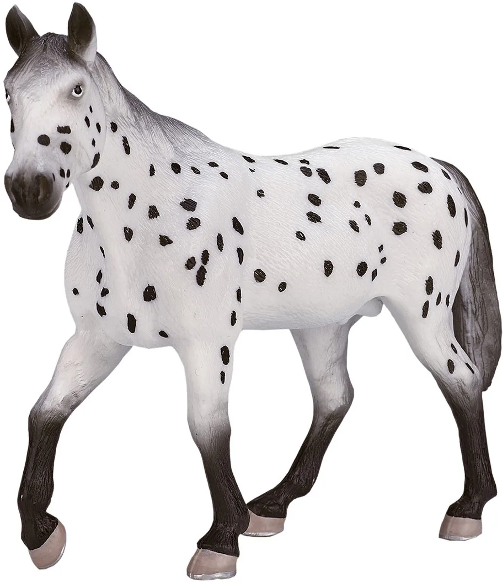 Horse World Appaloosa Stallion - 387108 von Mojo in Weiß, Schwarz – Produktfoto