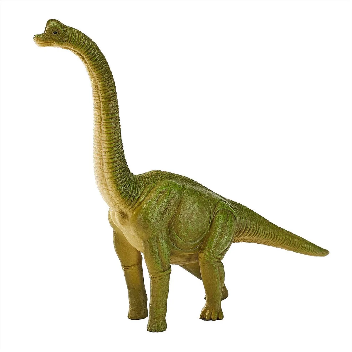 Prehistorie Brachiosaurus - 387212 de Mojo en Vert – photo du produit