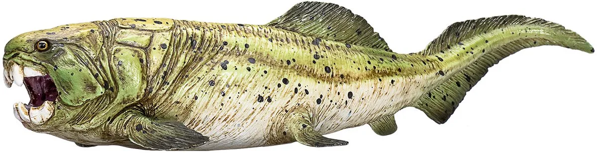 Prehistorie Dunkleosteus - 387374 från Mojo i Grön – produktbild