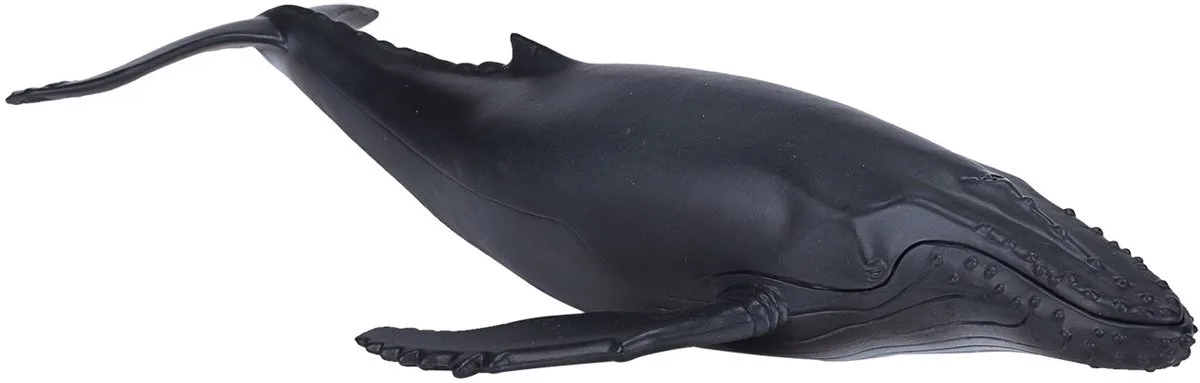 Sealife Bultrug - 387119 van Mojo in Zwart – productfoto