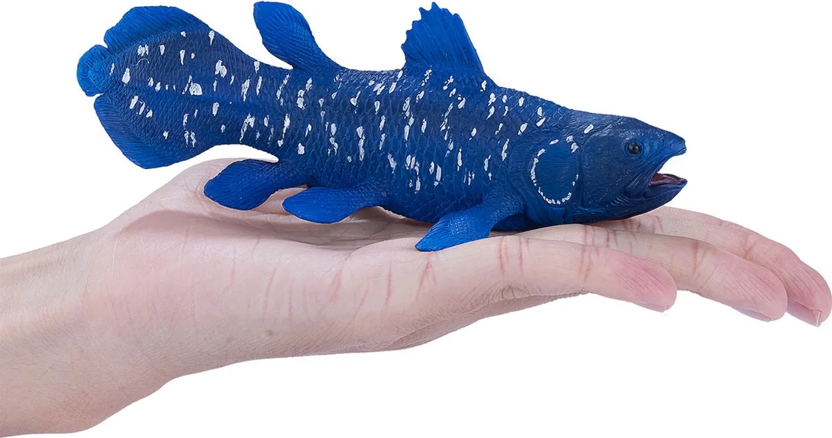 Sealife Coelacanth von Mojo in Blau, Weiß – Produktfoto