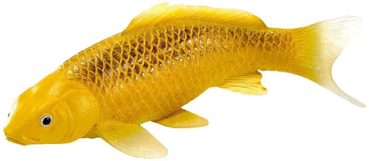 Sealife Koi Karper - Kin Matsuba Koi - 381105 de Mojo en Multicolore – photo du produit