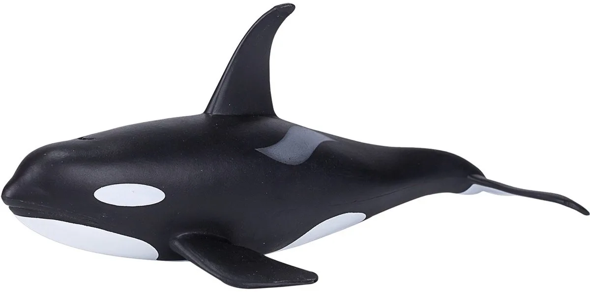 Sealife Mannelijke Orka - 387114 by Mojo in Black, White – product photo