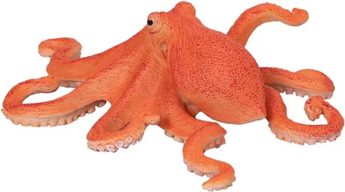Sealife Octopus von Mojo in Mehrfarbig – Produktfoto