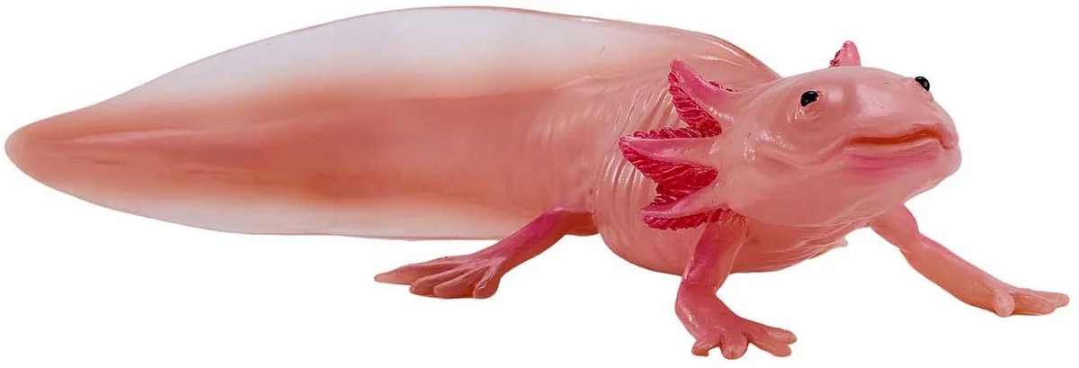 Wildlife Axolotl 381108 von Mojo in Mehrfarbig – Produktfoto