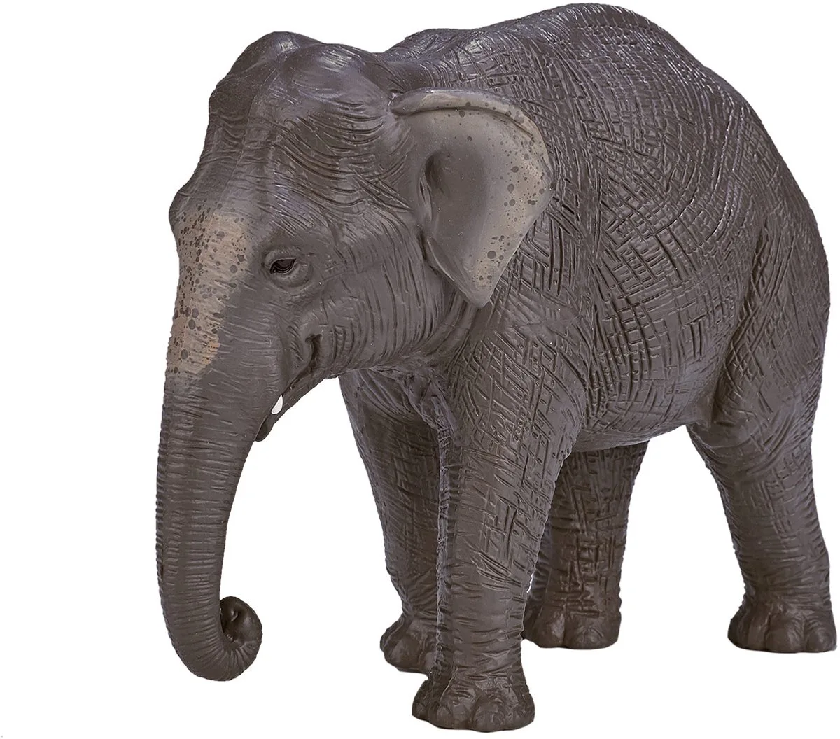 Wildlife Aziatische Olifant - 387266 von Mojo in Grau – Produktfoto