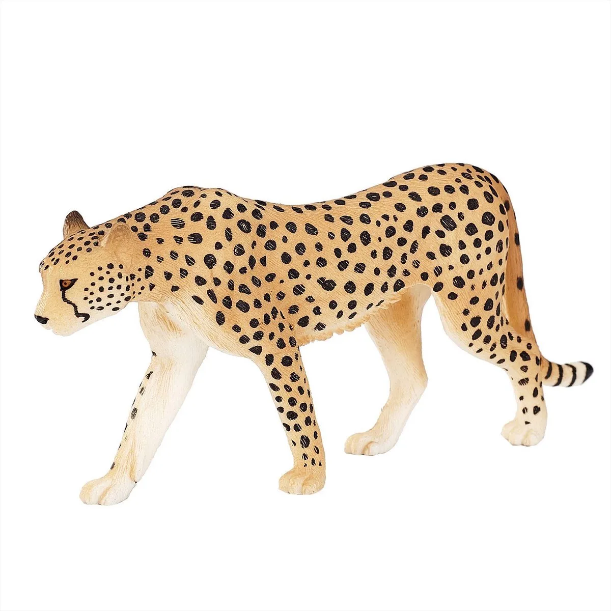 Wildlife Cheetah Male - 387197 von Mojo in Gelb, Braun – Produktfoto