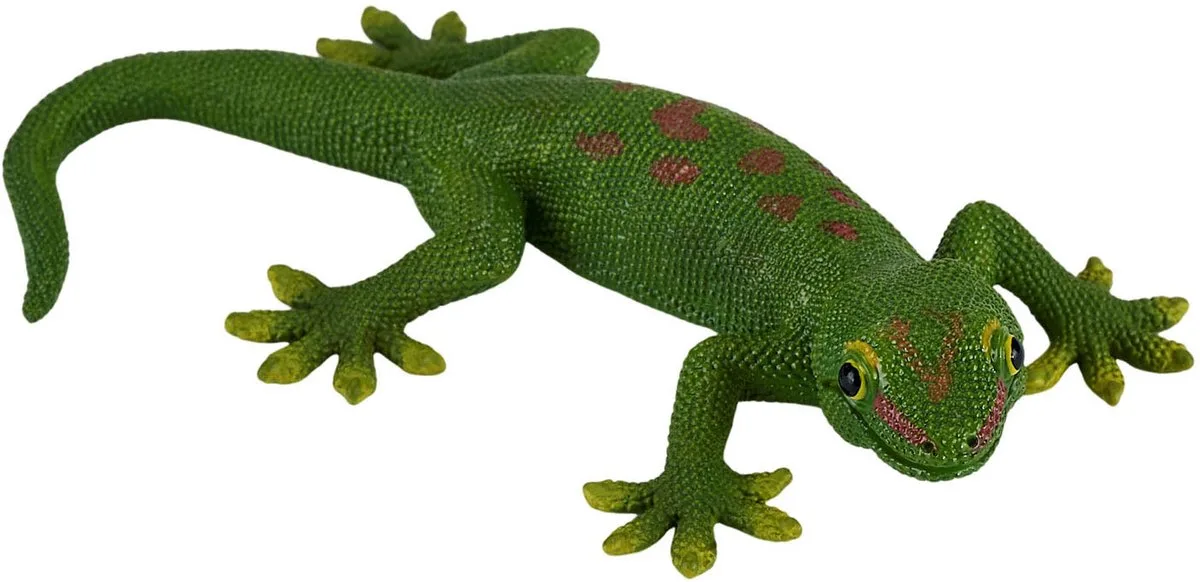 Wildlife Gecko - 381078 by Mojo in Multicolour – product photo