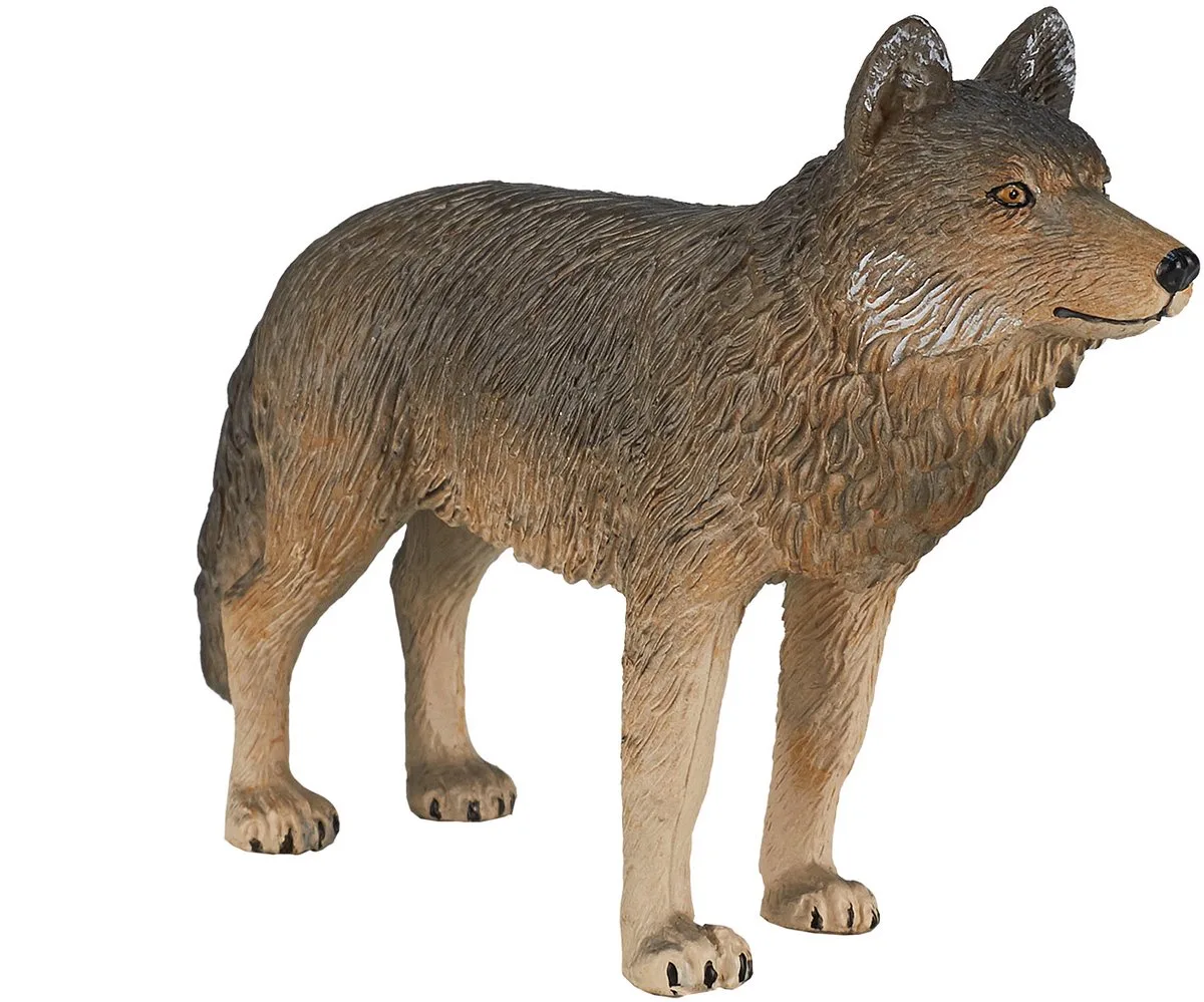 Wildlife Timber Wolf Standing von Mojo in Grau, Braun – Produktfoto