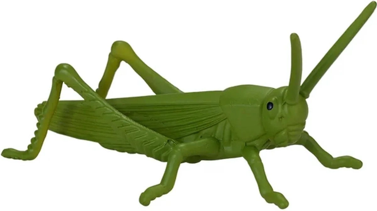 Wildlife Mini Insecten en Spinnen, 12dlg. - 380058 by Mojo in Multicolour – product photo