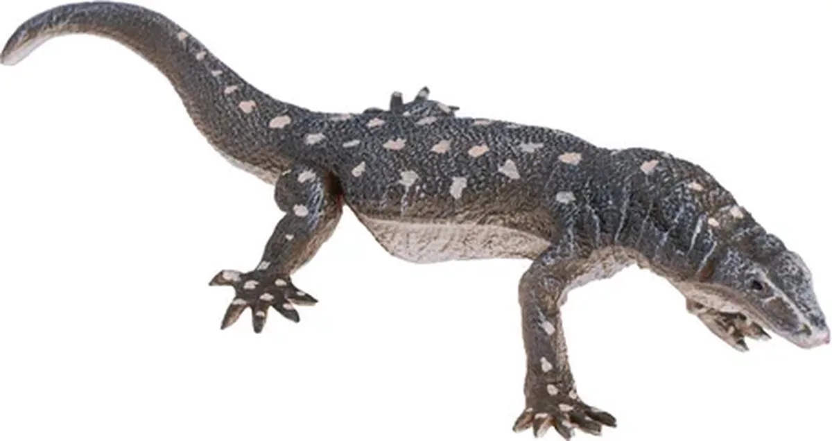 Wildlife Perentie Hagedis - 381061 by Mojo in Multicolour – product photo