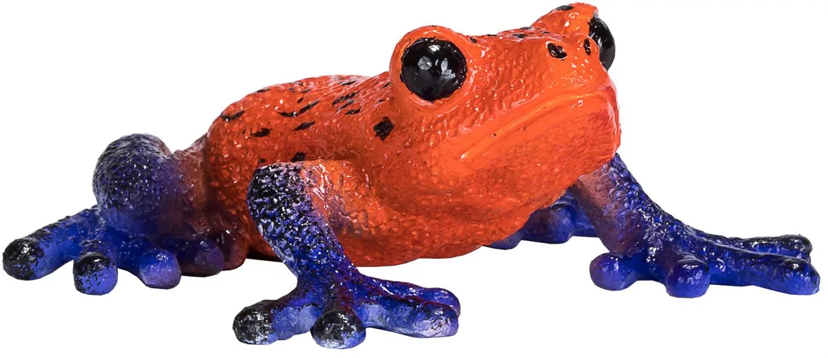 Wildlife Pijlgifboomkikker - 381016 de Mojo en Vert – photo du produit