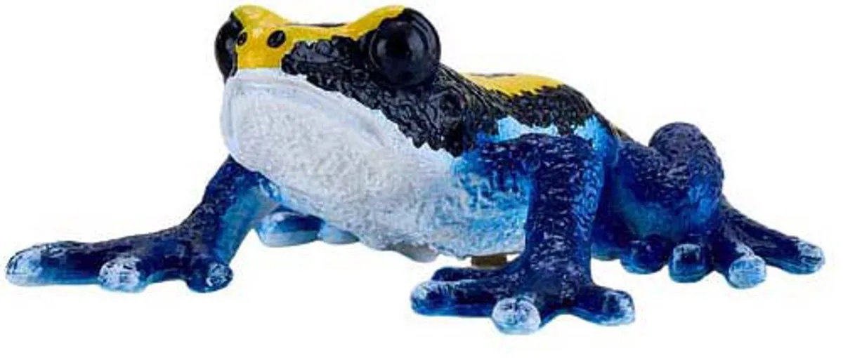Wildlife Pijlgifkikker Blauw - 381069 de Mojo en Multicolore – photo du produit