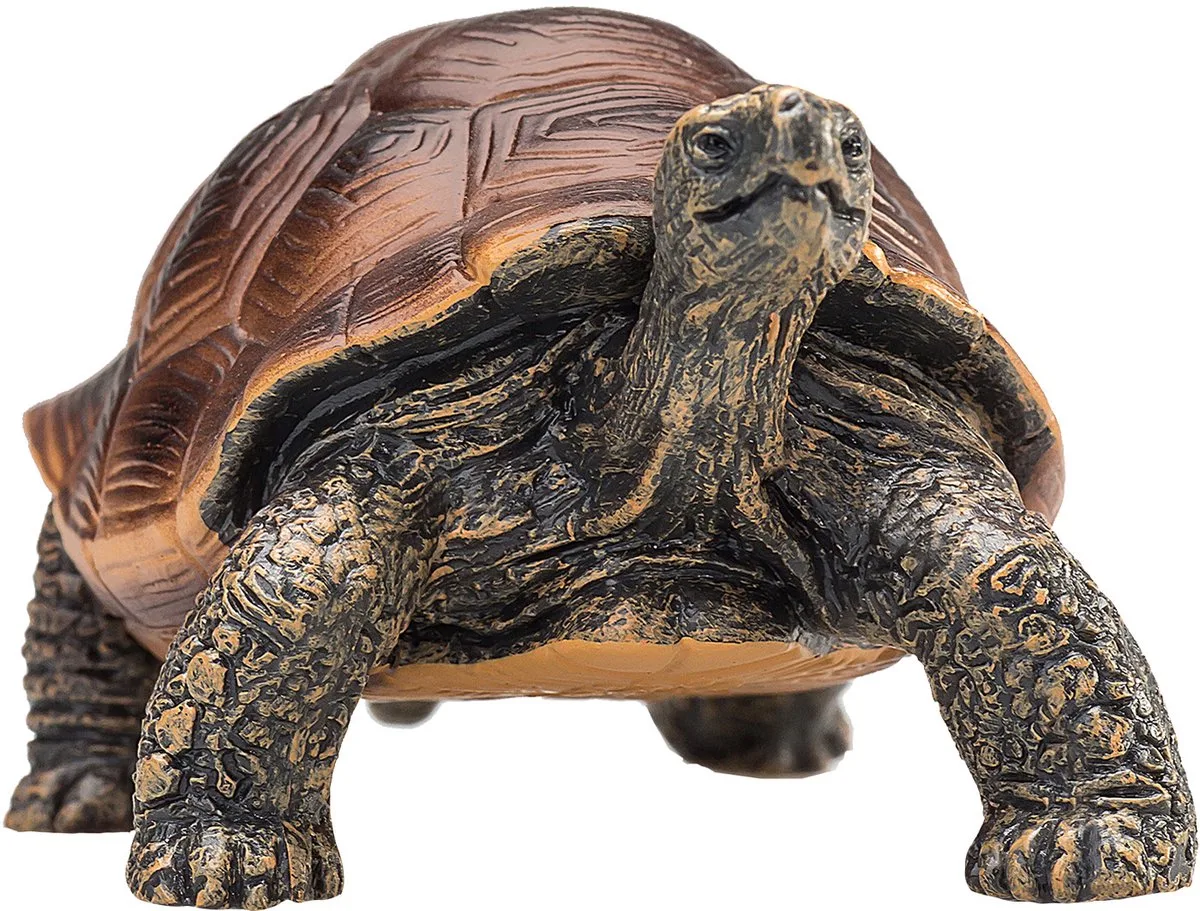Wildlife Reuzenschildpad - 387259 fra Mojo i Grøn – produktbillede