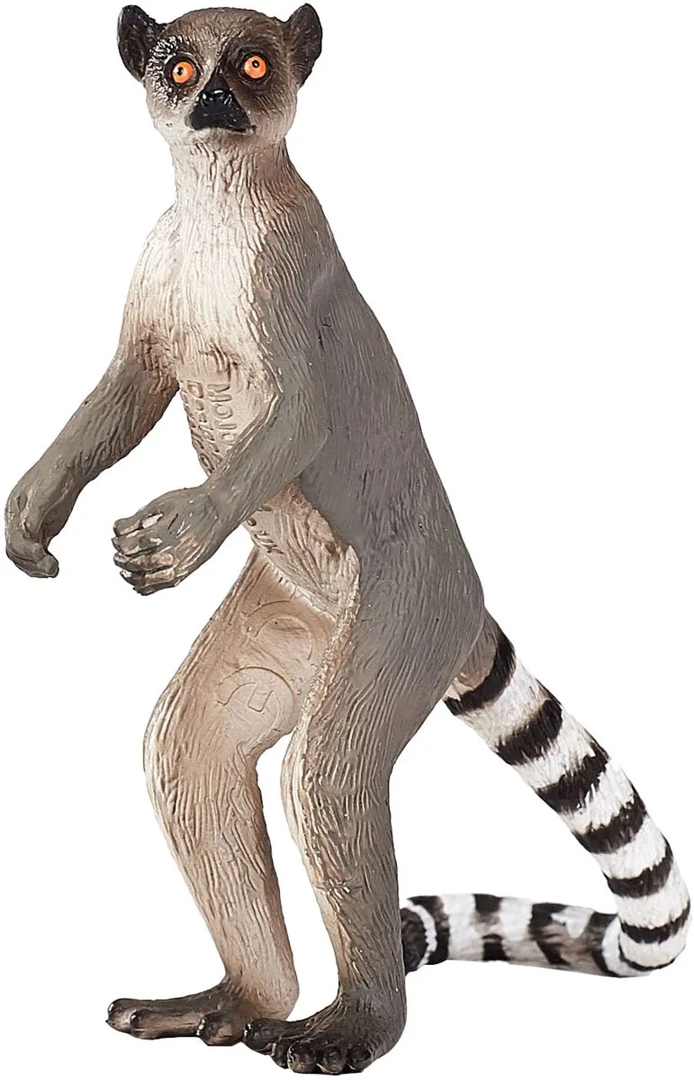 Wildlife Ring-tailed Lemur von Mojo in Mehrfarbig – Produktfoto