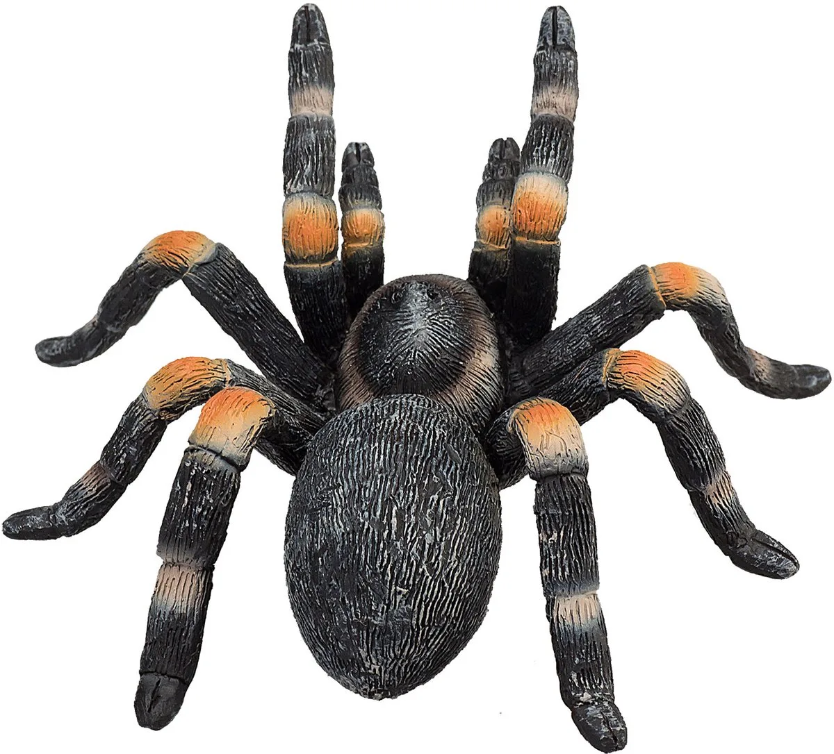 Wildlife Rode Tarantula - 387213 von Mojo in Rot – Produktfoto