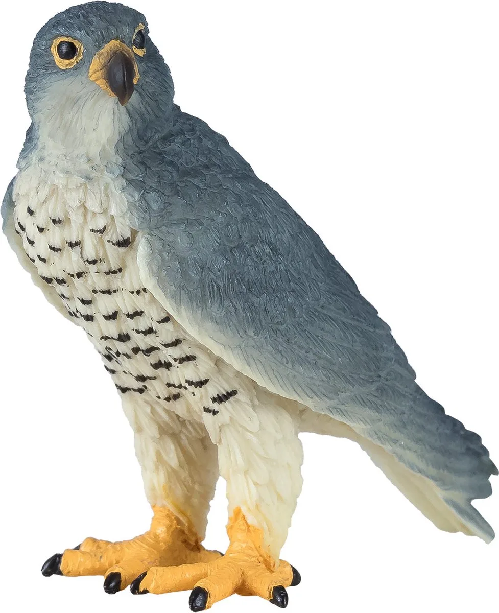 Wildlife Slechtvalk - 381056 by Mojo in Grey, White – product photo