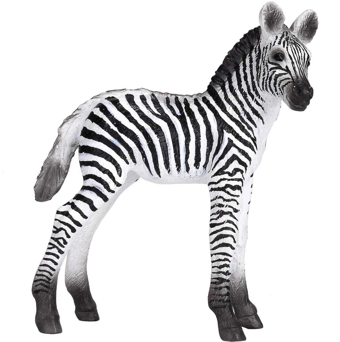 Wildlife Zebra Foal - 387394 von Mojo in Schwarz, Weiß – Produktfoto