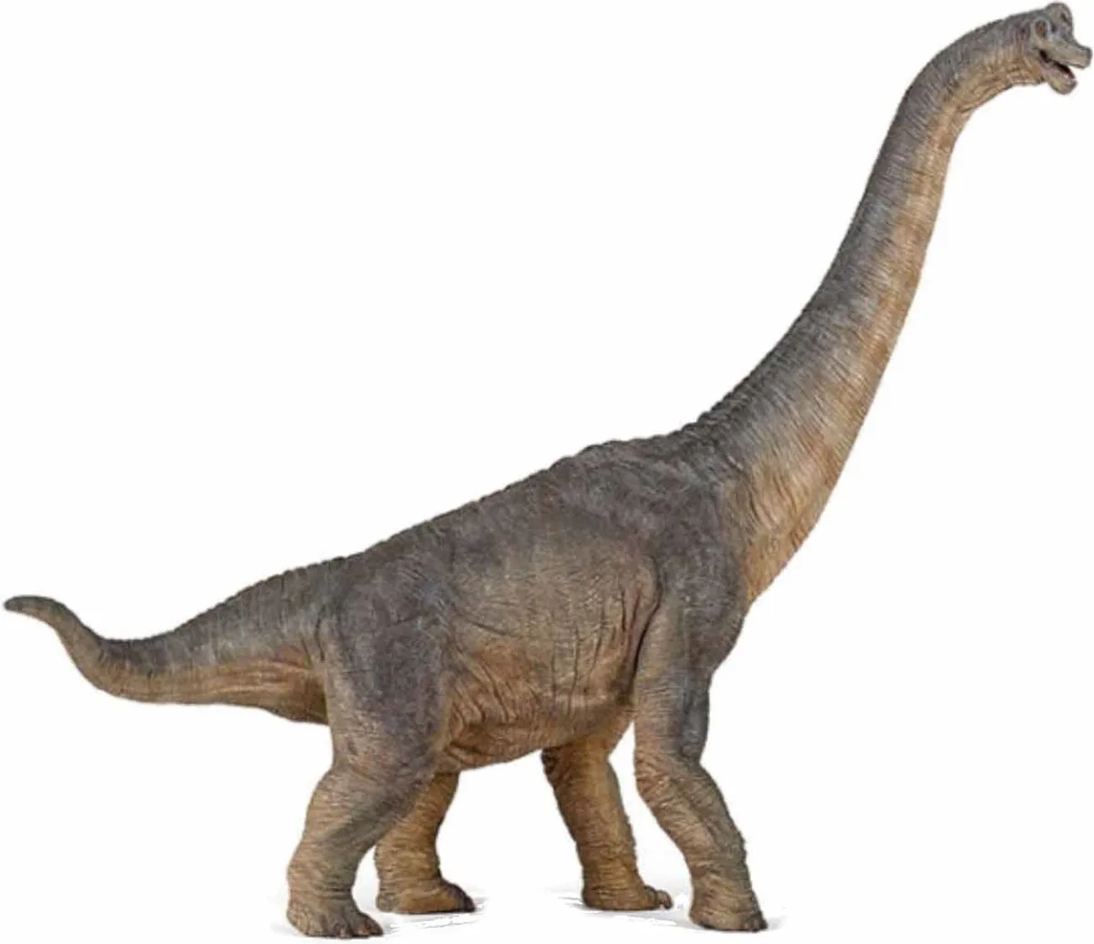 Brachiosaurus - Dinosaurus de Papo en Multicolore – photo du produit