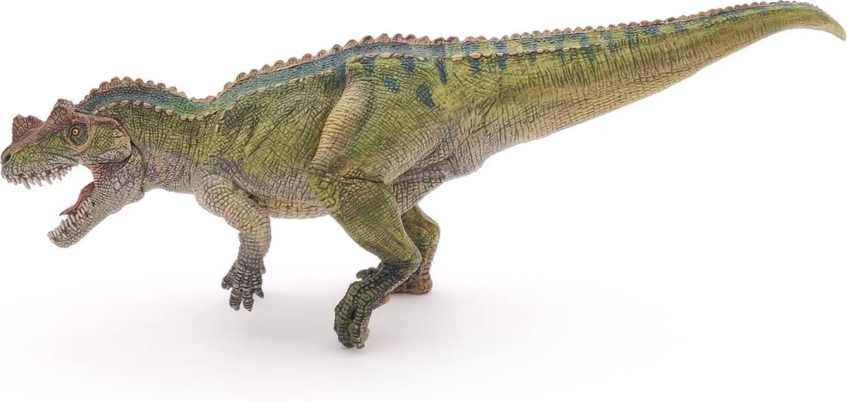 Ceratosaurus de Papo en Multicolore – photo du produit