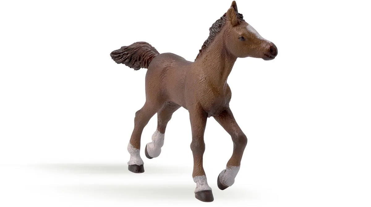 Paard - Anglo-Arabisch veulen van Papo in Veelkleuring – productfoto