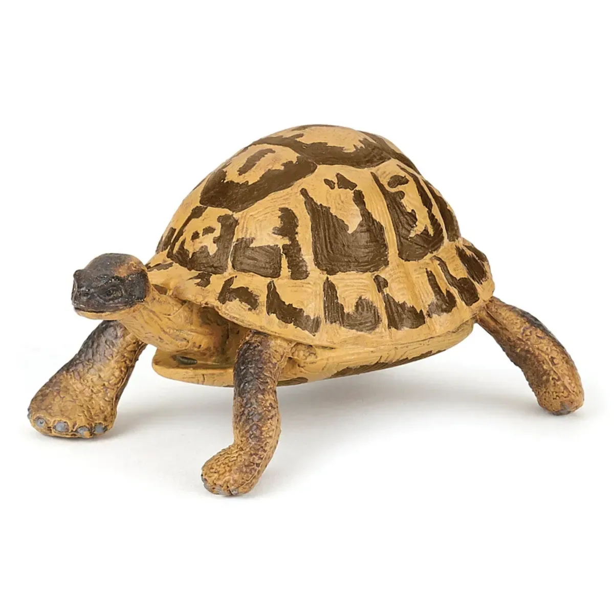 Papo 50264 Hermanns Schildkrötenfigur 7,5 x 5,6 x 4 cm handbemalt de Papo en Marron – photo du produit