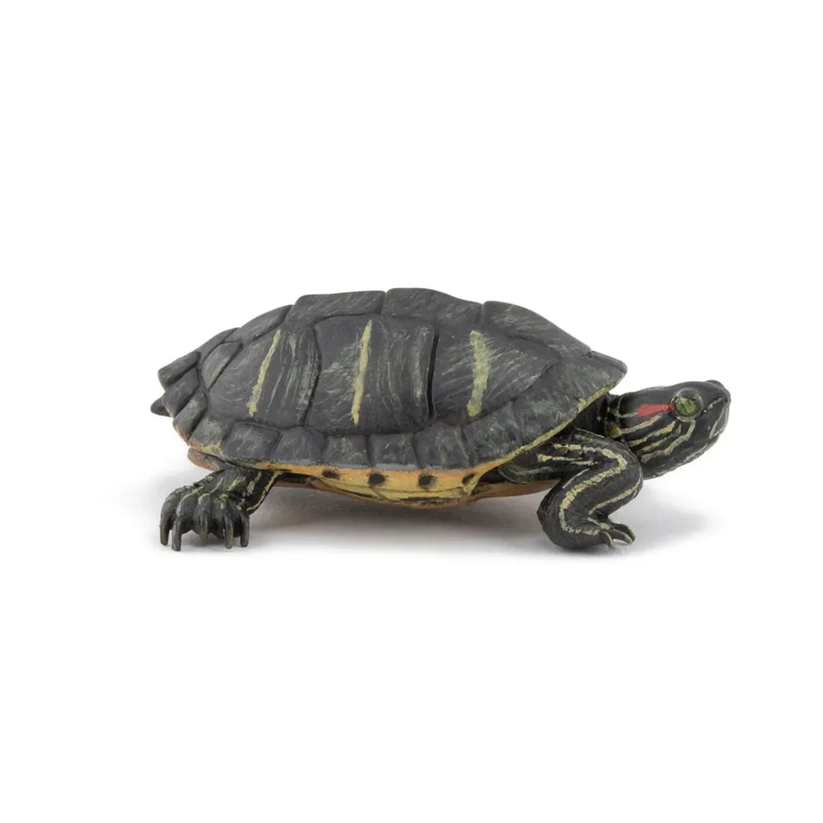 Papo 50309 Tierwelt Florida Schildkröte Figur 6,1 x 4,6 x 2,17 cm handbemalt de Papo en Gris – photo du produit