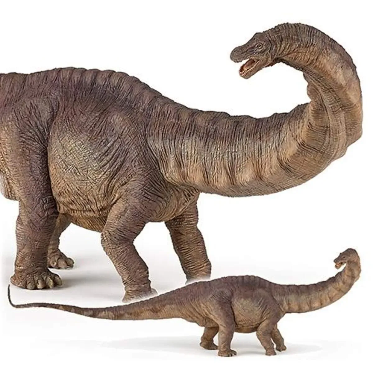 Papo 55039 Apatosaurus Dinosaurier från Papo – produktbild
